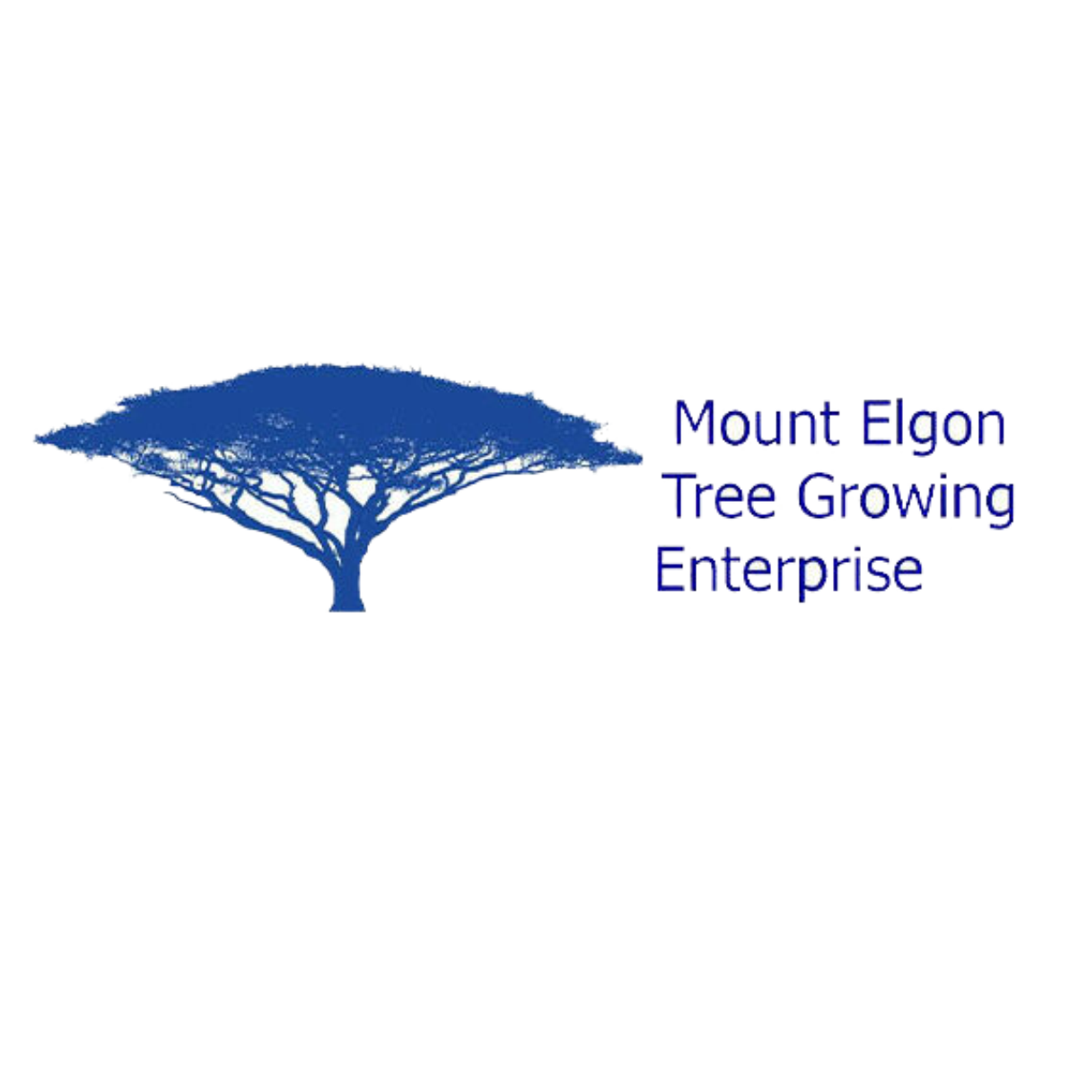 Mount Elgon Tree Growing Enterprise